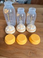 3x Medela Trinkflasche mit Calma Sauger Wuppertal - Langerfeld-Beyenburg Vorschau