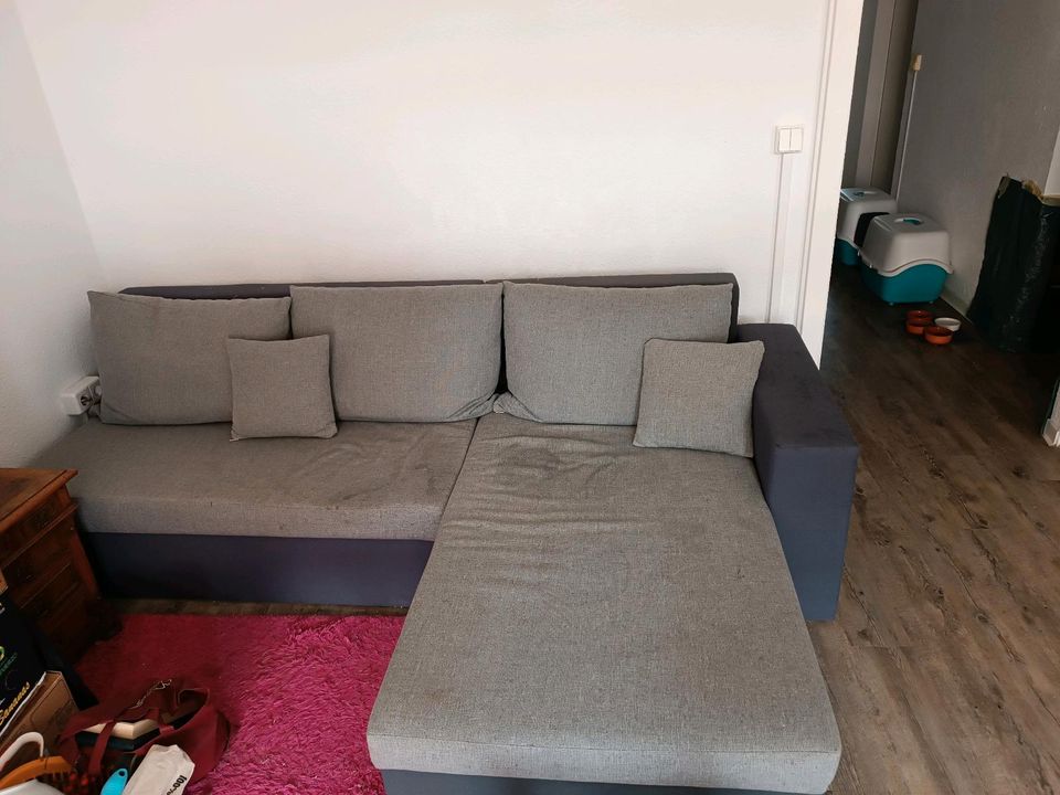 Sofa mit Schlaffunktion in Dresden