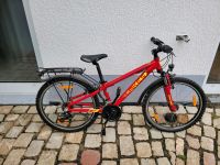 Kinder Fahrrad Rheinland-Pfalz - Saulheim Vorschau