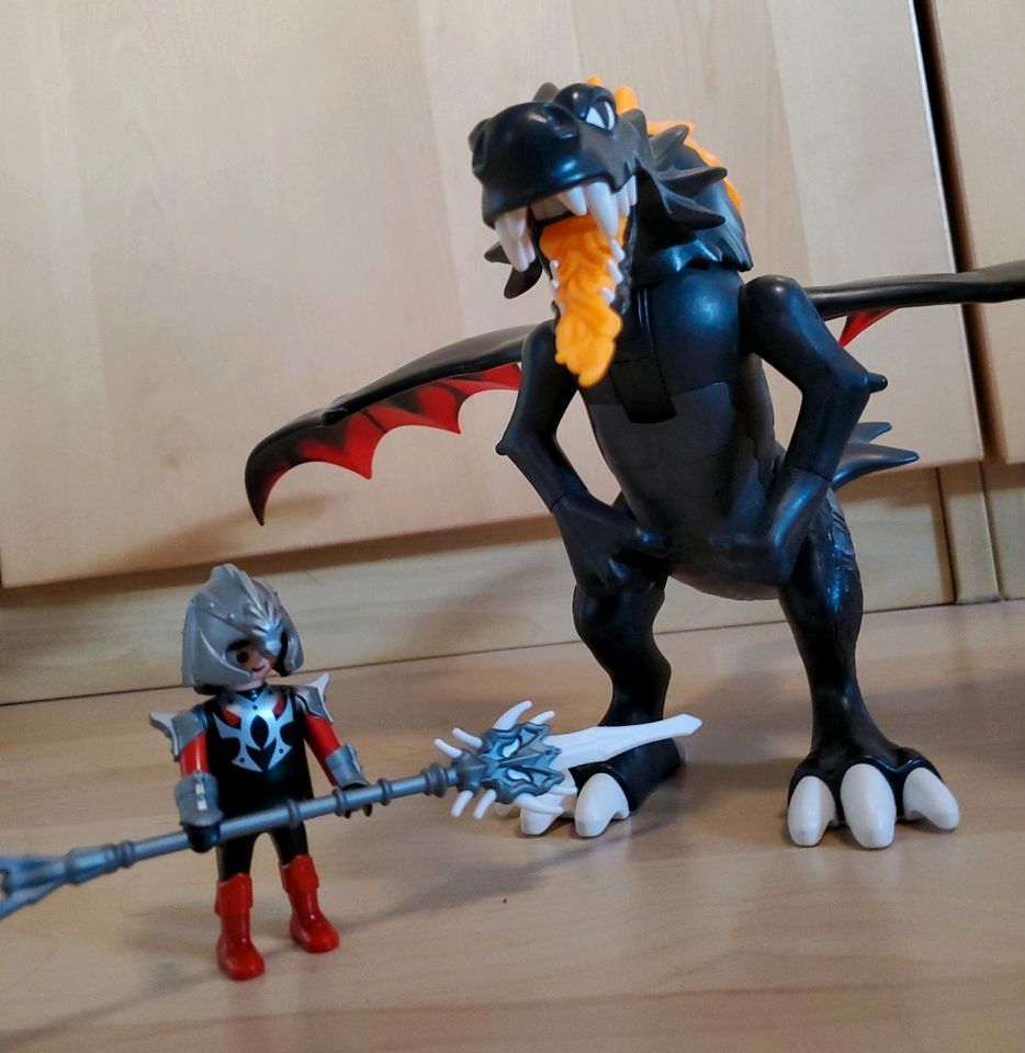 Playmobil Drache in Beckum