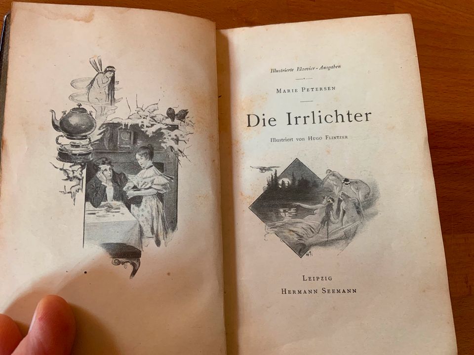 Marie Petersen, Die Irrlichter, mind. 100 Jahre altes Buch in Bargteheide