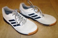 Adidas SPG Hallen / Handball Schuhe, sehr guter Zustand, Gr. 46 Hessen - Idstein Vorschau