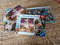 Ravensburger Puzzle pets 3×49 Teile Niedersachsen - Munster Vorschau