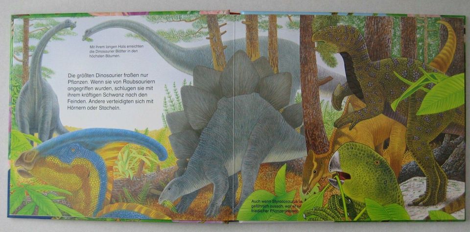 Mein Natur-Fühlbuch: Dinosaurier von Lenz, A, Selten in Frankfurt am Main