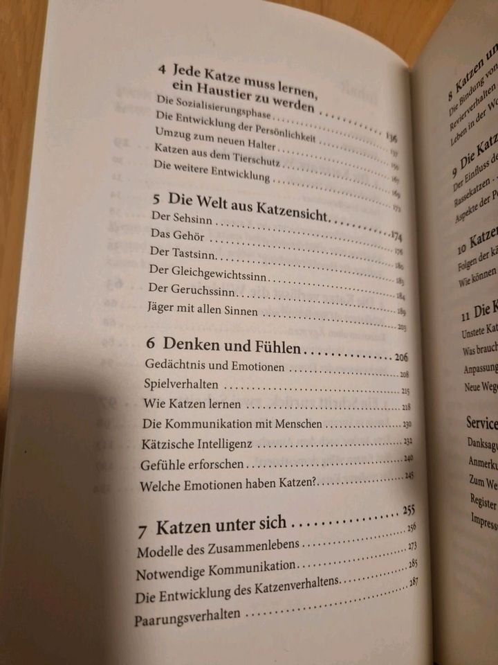 Die Welt aus Katzensicht: Wege zu einem besseren Miteina...Neuwer in Wunstorf