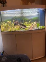 JUWEL Aquarium komplett Dortmund - Mengede Vorschau