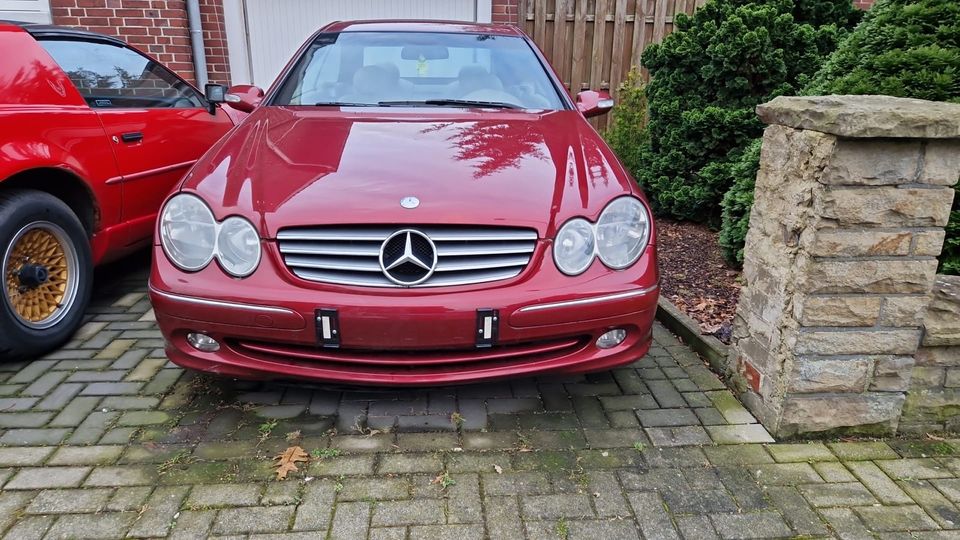 Mercedes Clk Diesel in Ahlen