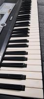 Yamaha Keyboard YPT-200 guter Zustand Berlin - Köpenick Vorschau