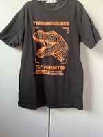 H&M T-Shirt Dinosaurier wie Neu!! ❤️ Gr. 134 / 140 Parchim - Landkreis - Leezen MV Vorschau