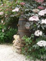 Regelmäßige Gartenpflege Garten-Umgestaltung Baden-Württemberg - Neckargemünd Vorschau