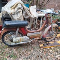 Motovespa Vespino Gl Hessen - Darmstadt Vorschau