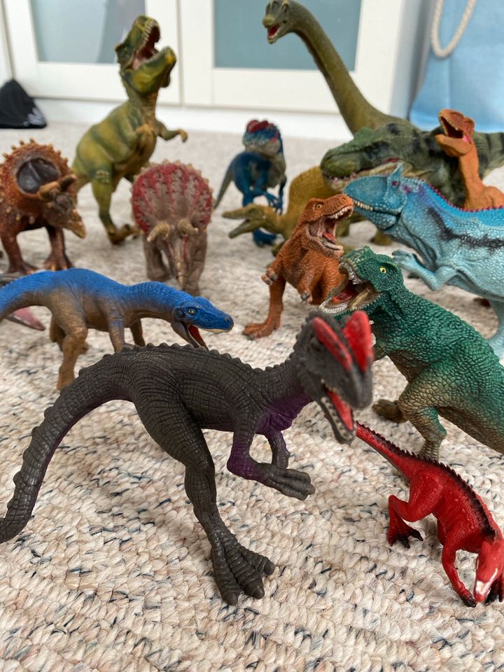 Schleich Dinosaurier Sammlung in Hannover