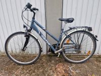 Falter FT30 Fahrrad 28 Zoll Rad Citybike Bike Ricklingen - Wettbergen Vorschau