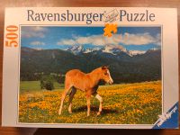 Puzzle Ravensburg Fohlen auf der Weide Pony 500 Teile Pferd Bayern - Fürsteneck Vorschau