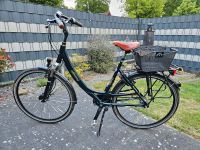 Fahrrad von Green's Niedersachsen - Papenburg Vorschau