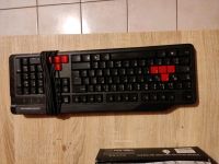 Raptor Gaming Tastatur Nordrhein-Westfalen - Waldfeucht Vorschau