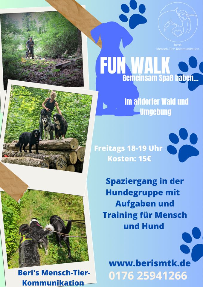 Hundetraining, Social Walks, Gruppentraining, Problemhunde... in Bad Waldsee