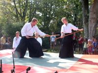 Aikido Kampfkunst Vorführung Pinneberg Steinburg Schleswig-Holstein - Itzehoe Vorschau