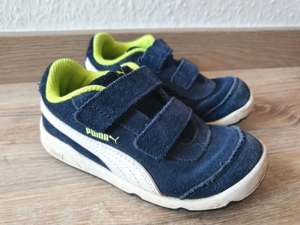 Sneaker, Größe 25, Sportschuhe, Kinderschuhe, Puma in Osnabrück