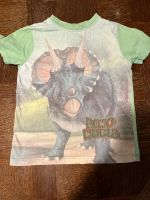 Disney t-Shirt Triceratops Größe 116 Baden-Württemberg - Heilbronn Vorschau