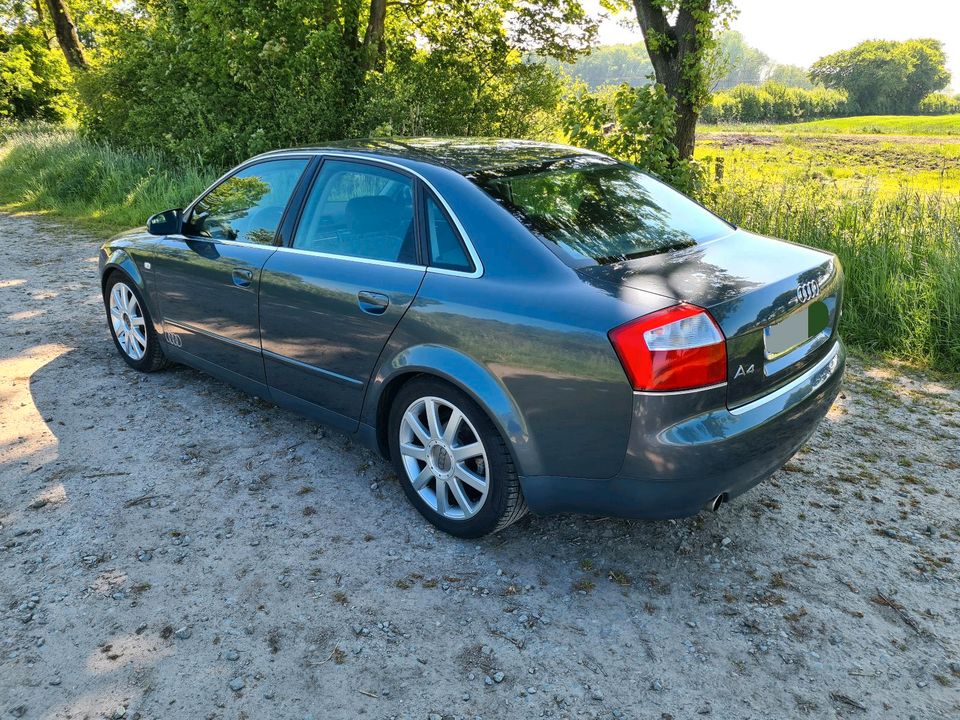 Audi A4 B6 8E 2.0 Limousine LPG in Varel