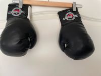 Boxhandschuhe von pro Touch size 6 Rheinland-Pfalz - Eich Vorschau