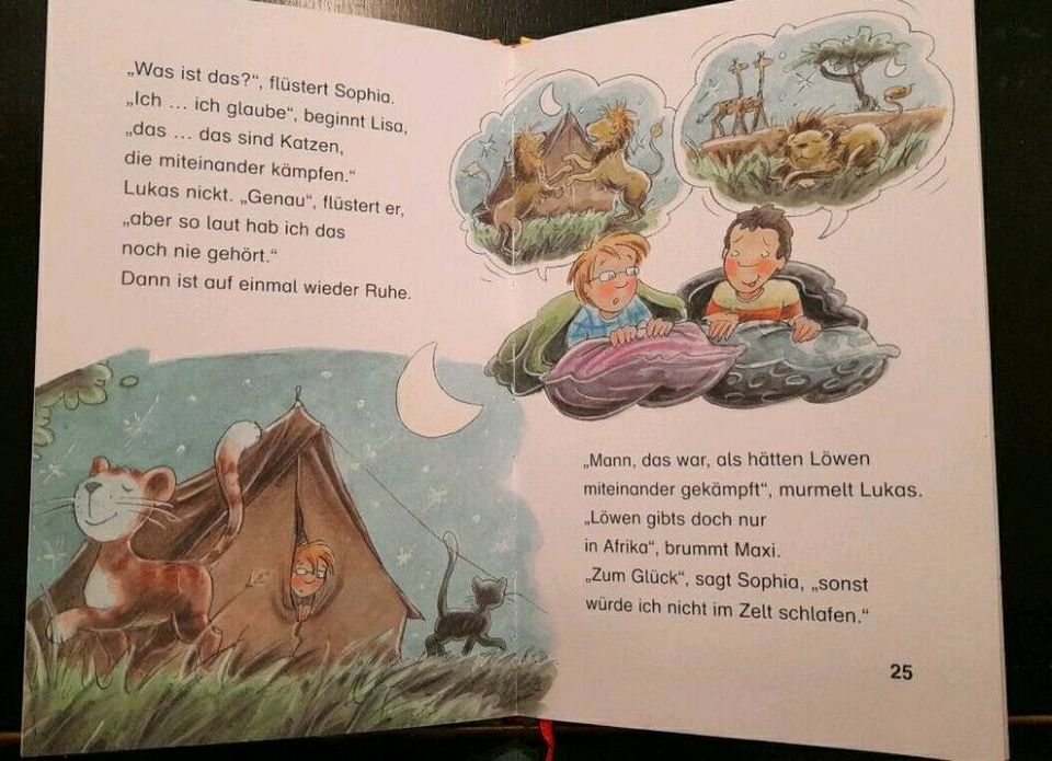 ERSTLESER Kinder Buch Bücher für Jungen Neue TOP!! in Lübeck