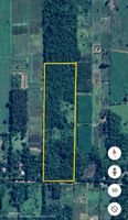 6 Hektar Grundstück in Manuel Gondra/Independencia Paraguay Baden-Württemberg - Bad Schussenried Vorschau