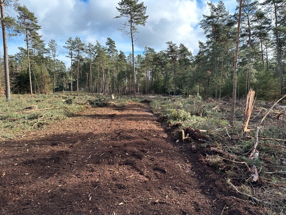 Forstmulchen Rekultivierung in Hagenow