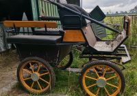 Pferdekutsche Kutsche Wagonette v.d.Dorpel Menswagen Niedersachsen - Dörpen Vorschau