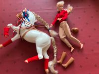 Barbie Reiterin mit Pferd von Mattel 1991 Sachsen - Stadt Wehlen Vorschau