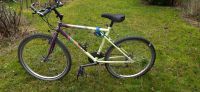 HERREN MOUNTAIN BIKE, 26 ZOLL, 18 GÄNGE Köln - Köln Klettenberg Vorschau