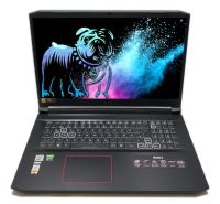 Acer Nitro 5 17,3" Notebook FHD 120Hz i5-10300H 8GB 1TB RTX 3060 Sachsen - Zwickau Vorschau