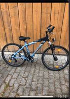 Fahrrad Triumph 21 Gang schwarz blau mtb 43 cm Rahmen 26 Zoll Bayern - Markt Nordheim Vorschau