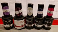 NOCH 5 Farben Unguis Easy Polish / Shellack NEU Hessen - Heusenstamm Vorschau