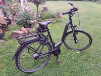 E-Bike PEGASUS Solero E8R Plus 400W City Nordrhein-Westfalen - Hagen Vorschau