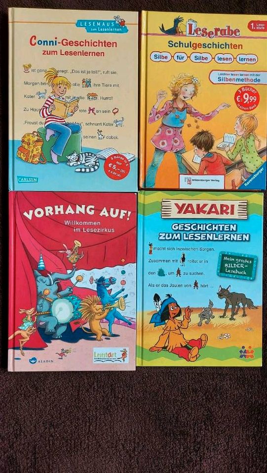 Bücher Erstleser Conni, Yakari, Der kleine Eisbär ,... in Weinolsheim