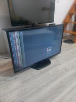 Smart TV / LG Defekter Display Bielefeld - Stieghorst Vorschau