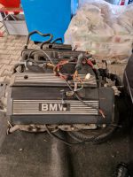 E46 325i M54 b25 Motor,Getriebe und Katalysatoren Hessen - Bad König Vorschau