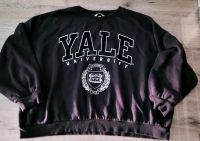 H&M SWEATER  gr. XXXL  gr. 52 Bayern - Schwabach Vorschau