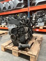 Skoda Audi VW CAY CAYC CAYA Engine Motor 1.6 Tdi T561 Köln - Köln Junkersdorf Vorschau