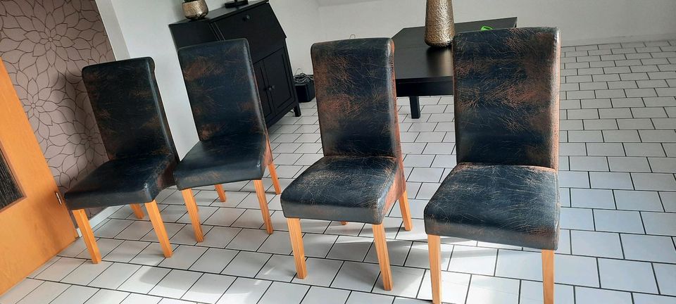 Stühle braun in Haiger