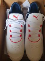 Puma Schuhe Hessen - Limburg Vorschau