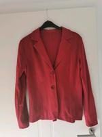 Roter Blazer Brandenburg - Birkenwerder Vorschau