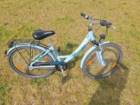 26 Zoll Pegasus Fahrrad Sachsen-Anhalt - Dessau-Roßlau Vorschau