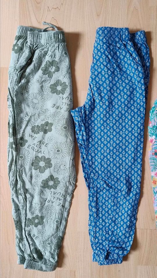 2x Sommerhose / Joggers / Baumwollhose *top* *neuwertig* H&M in Pliezhausen