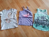 3 x Shirts  Größe 128 Hessen - Limburg Vorschau