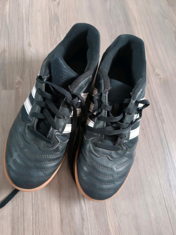 Adidas SALA Größe 37 1/3 Sneaker in Gräfendorf