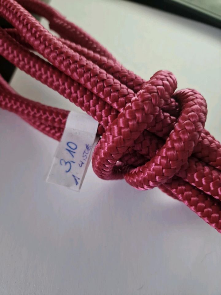 Kletterseil Tau Dogleash für Hundeleine Hundehalsband in Niedereschach