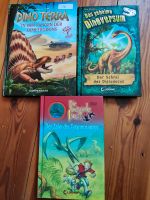 Dino-Bücher, Dinoterra, die magische Insel,... Bayern - Weißenburg in Bayern Vorschau